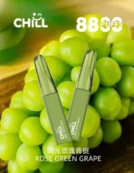 CHILL始祖鳥電子煙阳光玫瑰青提口味展示圖